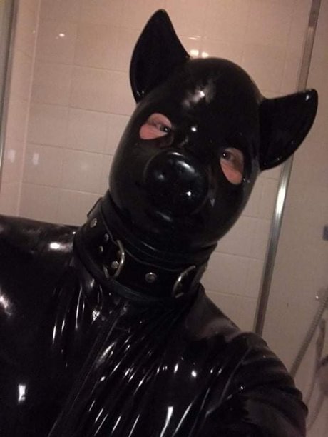 RUBBER CIGAR PIG 独占ポルノスター 写真