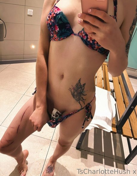 tscharlottehush 高品質のスター 画像