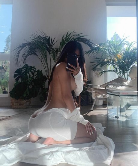 gold gypsy アートスター アーカイブ