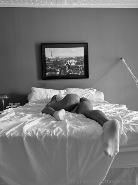 Zaah Wayne ヌードのポルノスター 画像