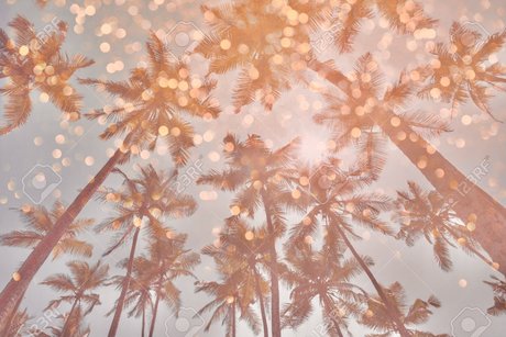 ナチュラルガールズオンリーファン ホットポルノ 写真