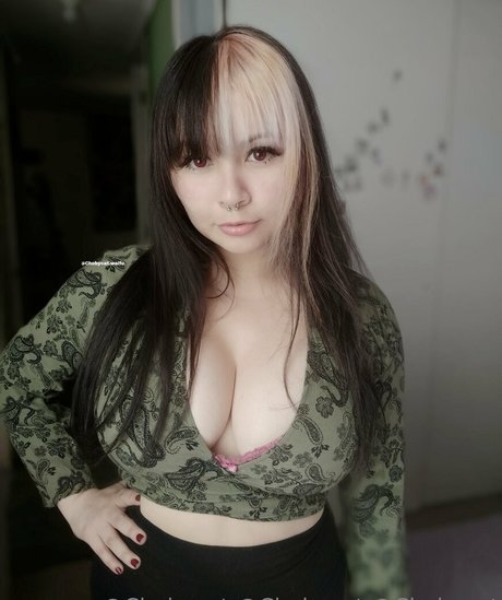 chobycat 限定スター 写真