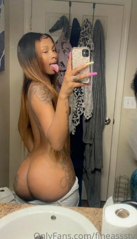 fineasssstv HDモデル 画像