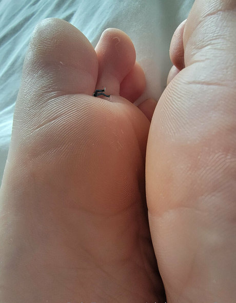 オニオンオンリーファン 美しい 写真