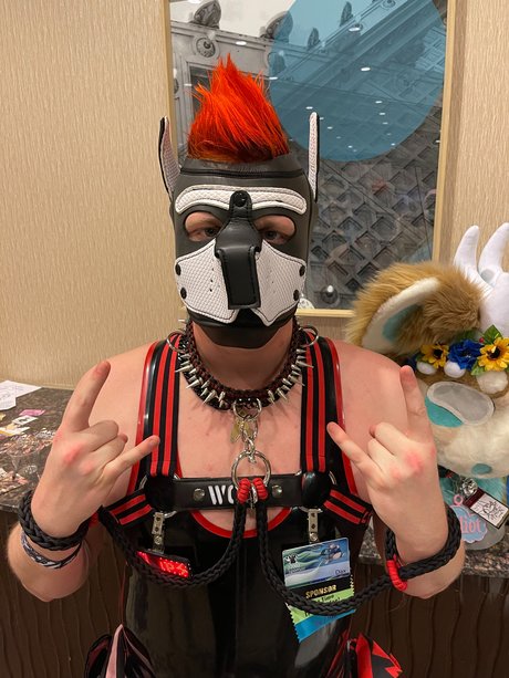 Pup Dax ポルノモデル アーカイブ