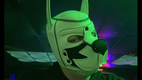 Pup Dax ポルノスター アート 写真