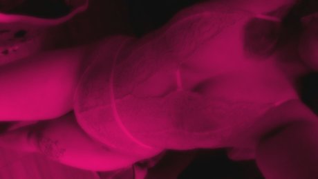 cyberkitten ホットモデル 写真