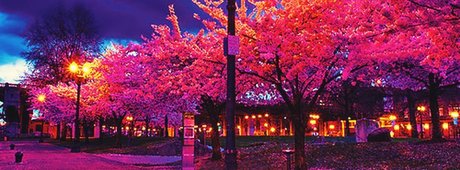 平均オンリーファン 美しいヌード 画像