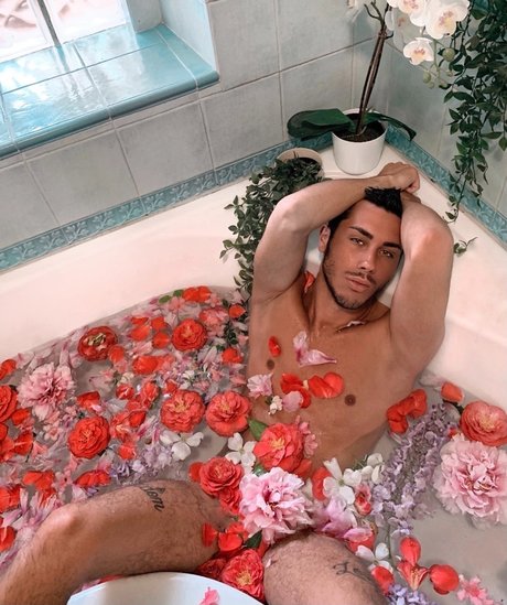 Ettore セックスポルノスター 画像