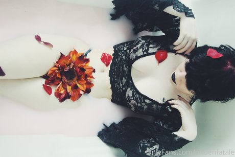 Phoenfatale 可愛いモデル 画像