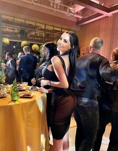 茶色の目のキティオンリーファンズ セクシー アーカイブ