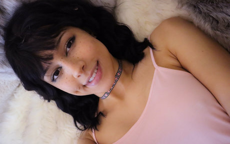 Cybersofty ヌード女優 写真