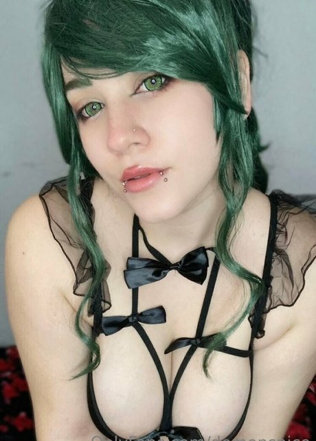 nogitsunespice 完璧なスター 写真