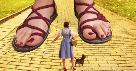 wreckinbecca ポルノモデル 画像