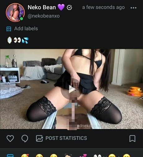 nekobeanbb top profile image