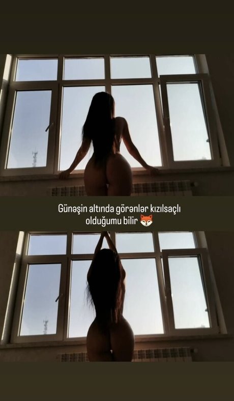 GymFoxFi 素敵な女優 画像