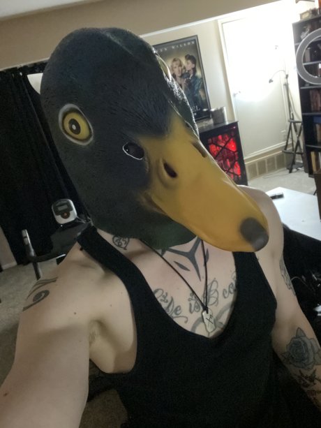 Jay D Quackers ホットなポルノスター 画像