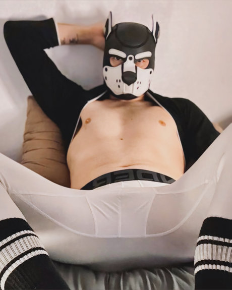 Pup Scott ポルノスター ギャラリー