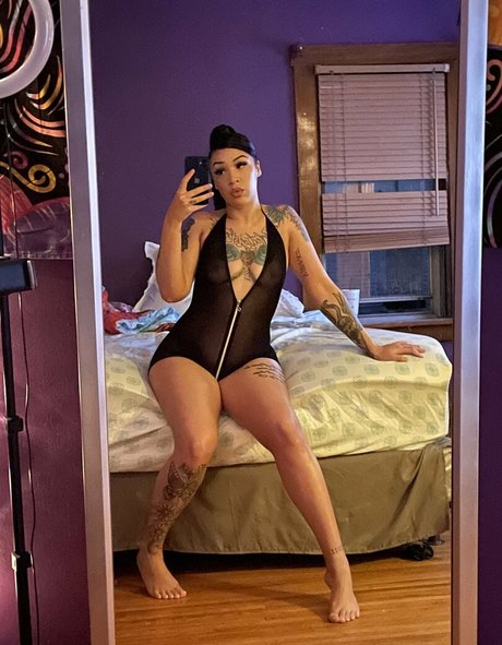 summerrob 美しいスター 写真