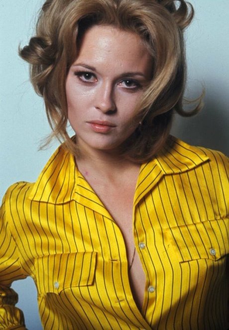 Faye Dunaway 限定モデル ギャラリー
