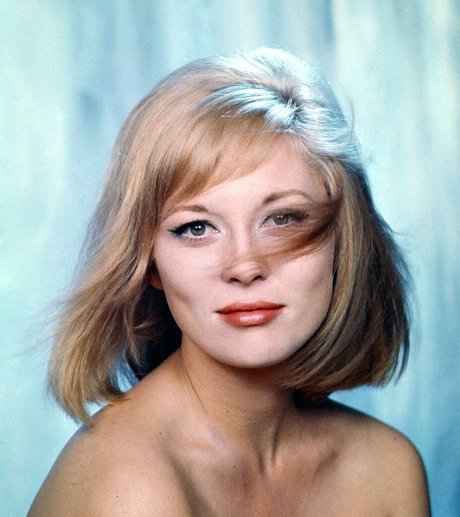 Faye Dunaway ヌードモデル 写真