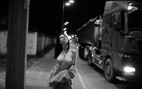 a krivoshlyk かわいいスター 写真