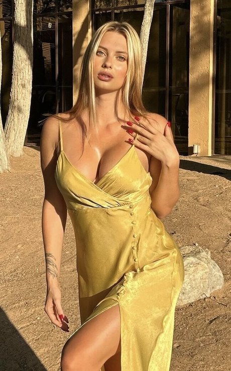 Darivo  Darivo 素敵なスター 写真