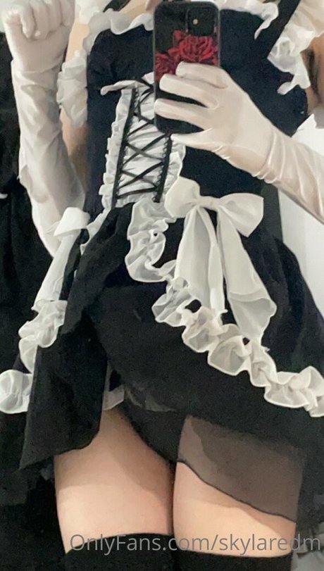 skylaredm アートスター 写真