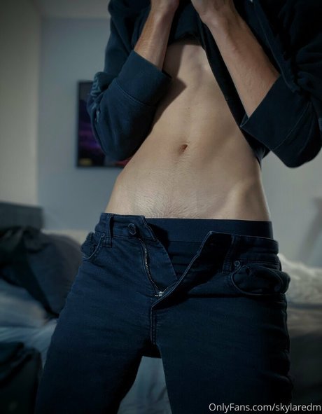 skylaredm 完璧なスター ギャラリー