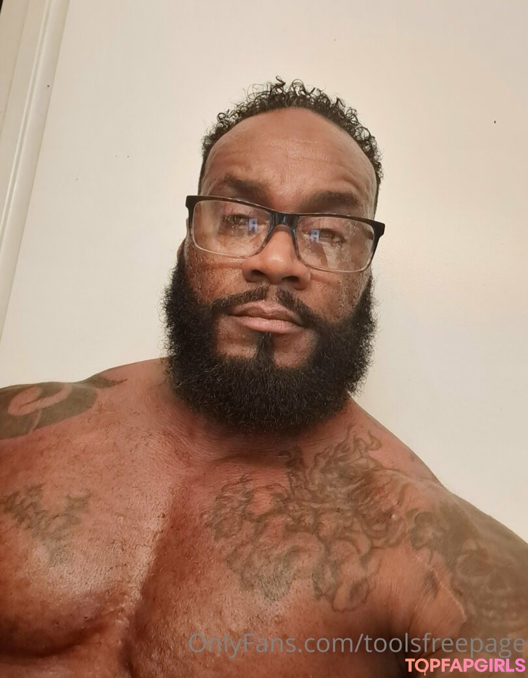 ペルシャのオンリーファンズ トップ 画像