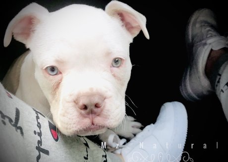 Naturalsworld ヌード女優 ギャラリー