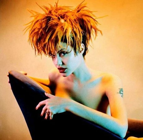 Angelina Jolie ポルノスター ヌード 画像