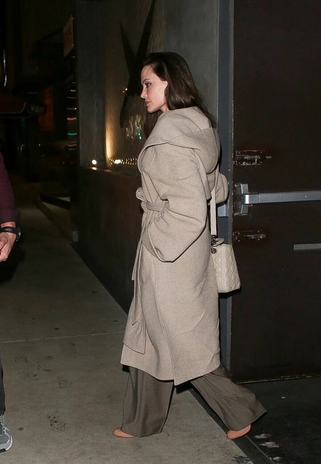 Angelina Jolie ポルノモデル 写真