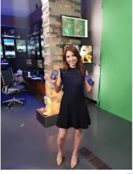 Local TV Presenters ポルノスター ホット 画像