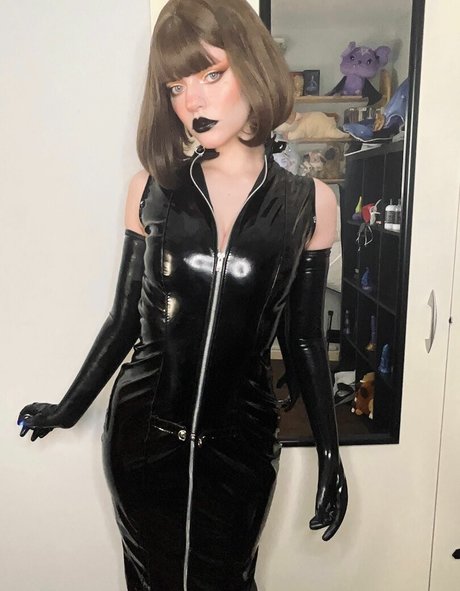 thecutestkittycat トップスター 写真