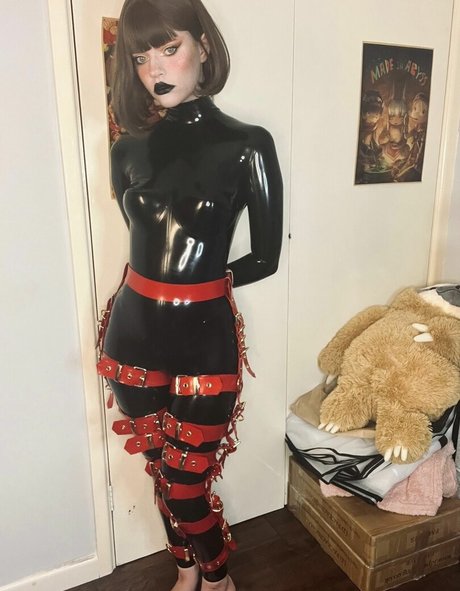 thecutestkittycat 高品質スター 写真