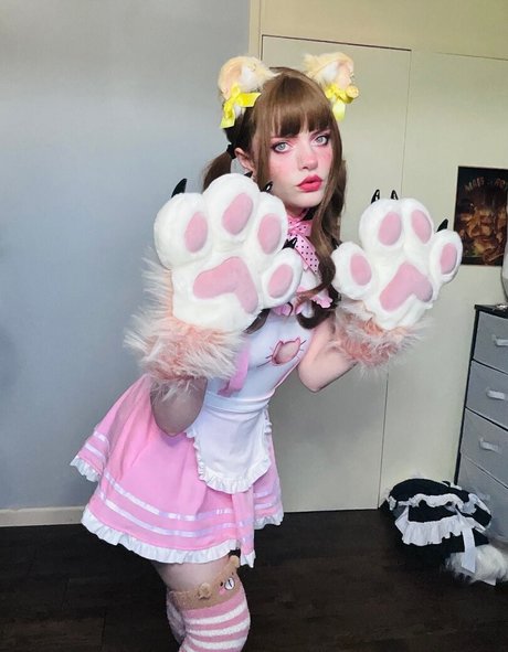 thecutestkittycat 高品質スター 写真