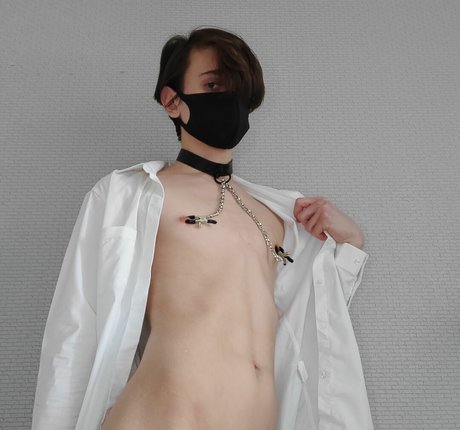 avokado 高品質モデル 画像