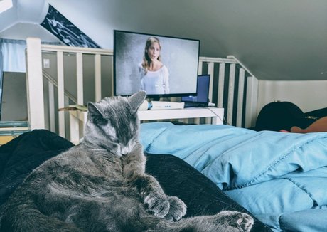 巨乳ソロオンリーファンズ 無料ポルノ 画像