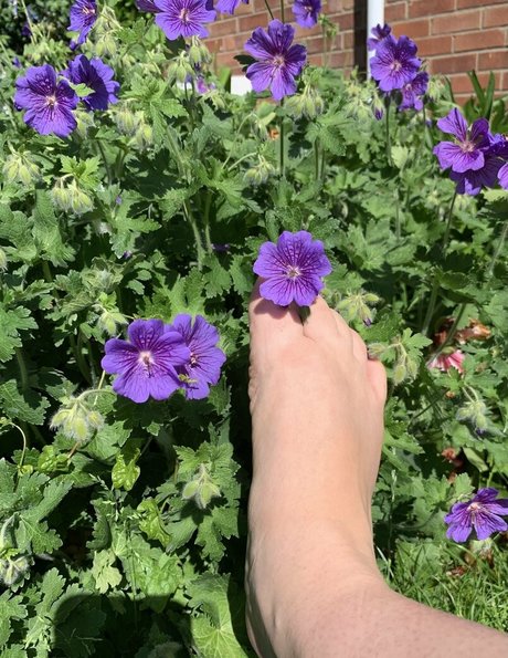 ravenclawslostdiadem 高品質モデル 画像