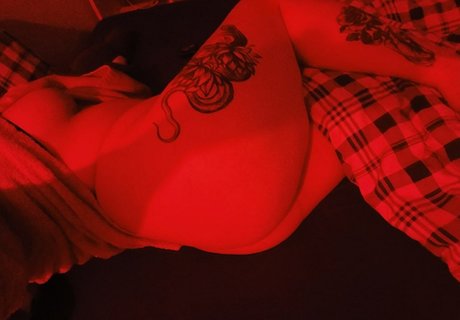 Kinki kitty 限定モデル 写真