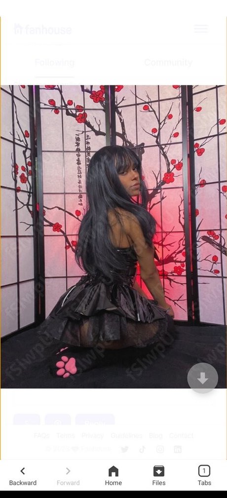 Moonkiller17 アダルトスター 写真