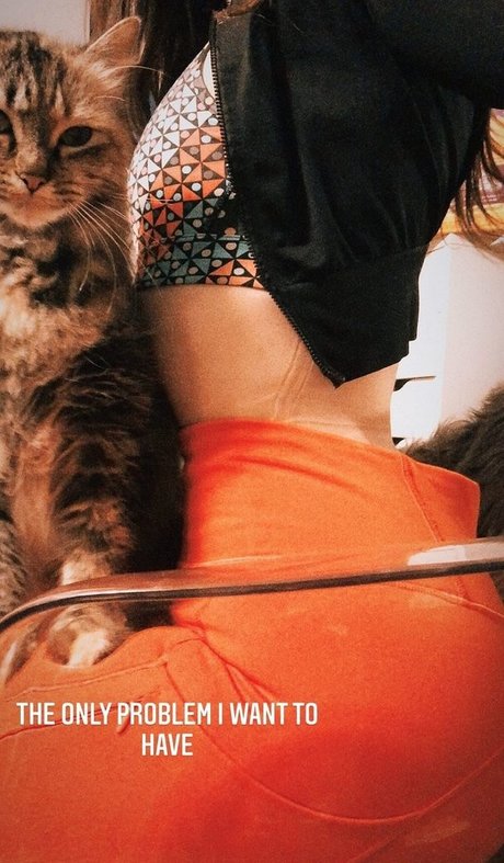 成熟した毛深い猫オンリーファンズ パーフェクト 画像