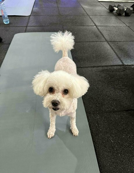 bianoir 裸のモデル 写真