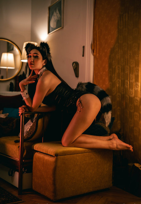 mayteodosio トップスター 写真
