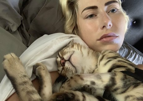 手袋オンリーファンズ 美しい 写真