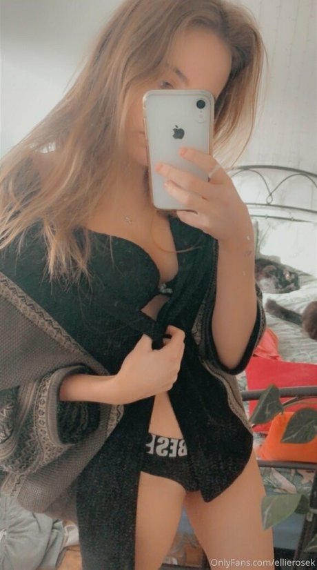 Ellierosek トップモデル 画像