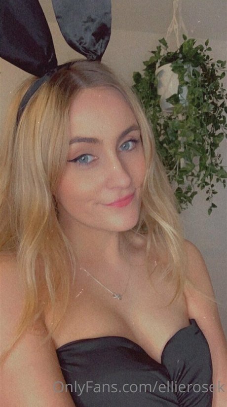 Ellierosek 完璧な女優 画像