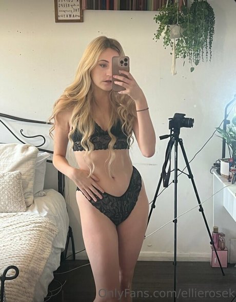 Ellierosek 最高のポルノスター 画像