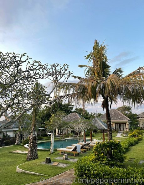 pppoisonnn ivy 独占女優 画像